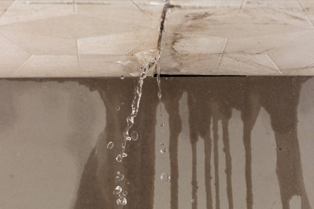 Professional Structural Drying technician working in Bangor, ME